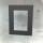 Dinos Schaufensterdisplay hoch mit DIN A4 Stecklasche (109)