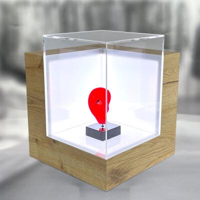Schaukasten LED Cube Holz (716)