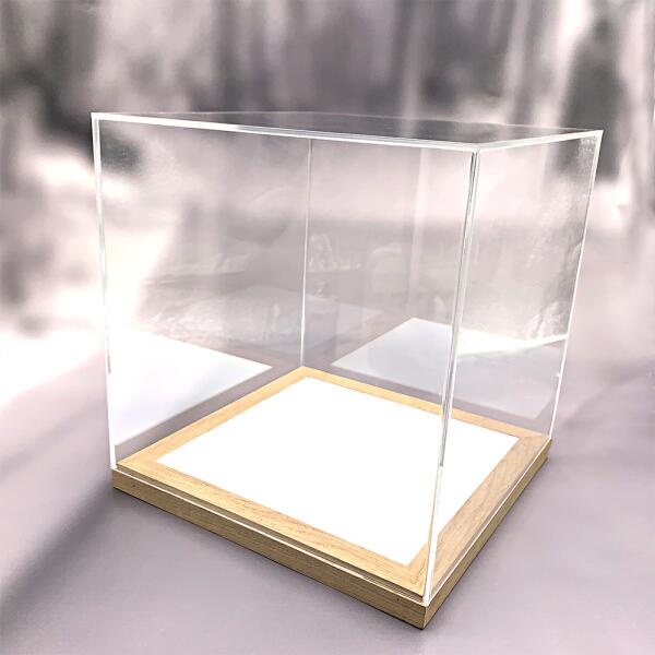 Schaukasten LED Cube mit Acryl-Haube (673)