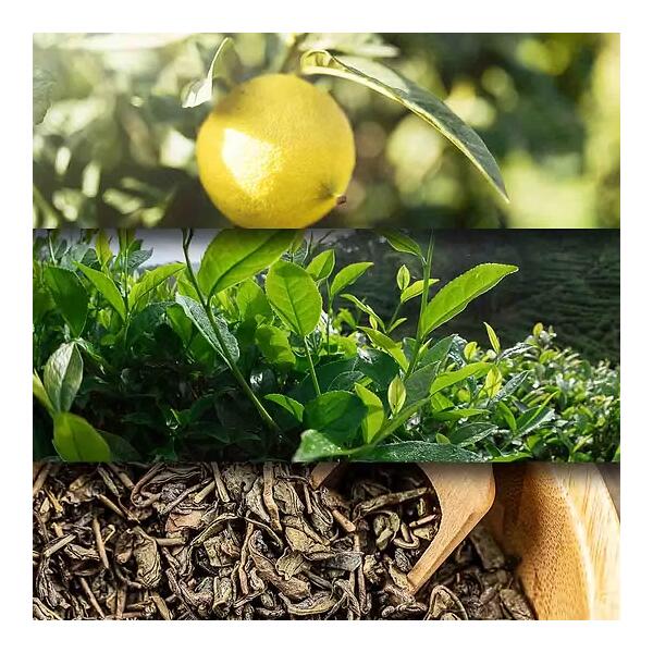 otosense Duft - Sencha 150ml